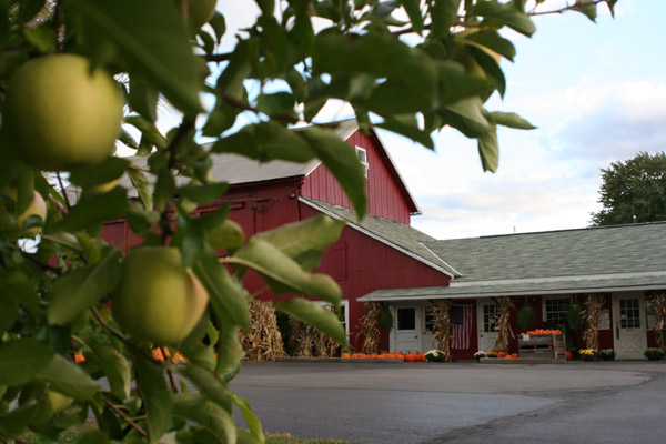 Sages Apples Market