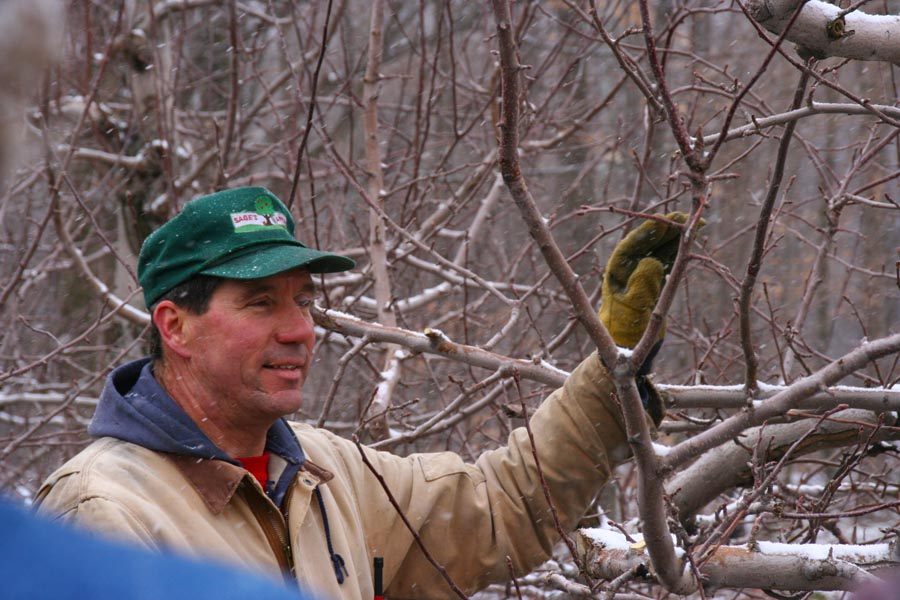 Outdoor Pruning Class Last Saturday in March